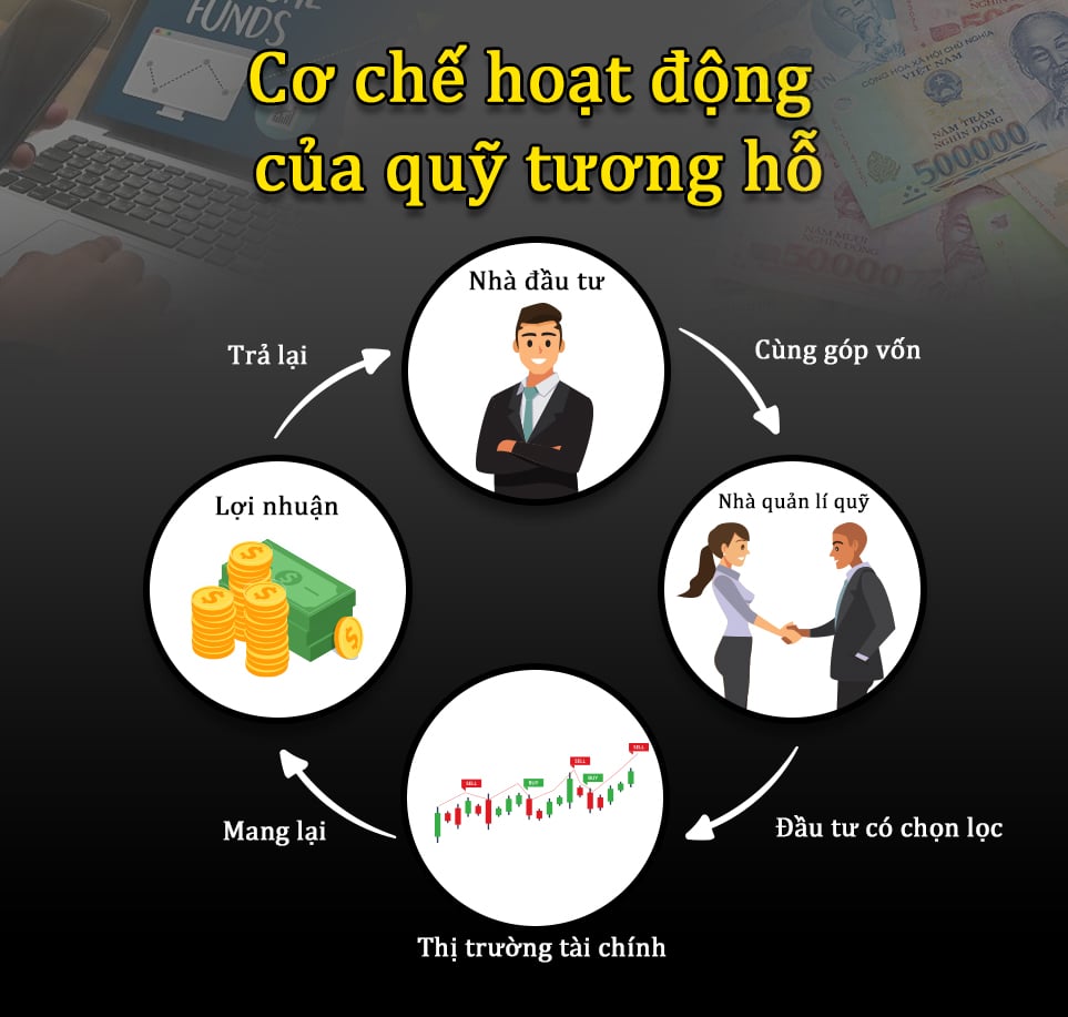 Quỹ tương hỗ là gì