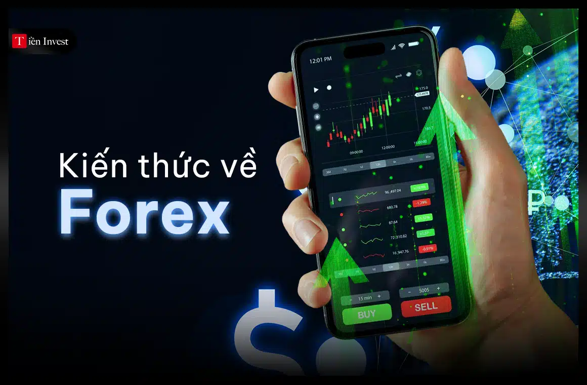 Thị trường forex là gì Kiến thức giao dịch forex cho người mới bắt đầu