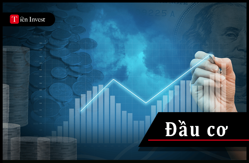 Đầu cơ là gì