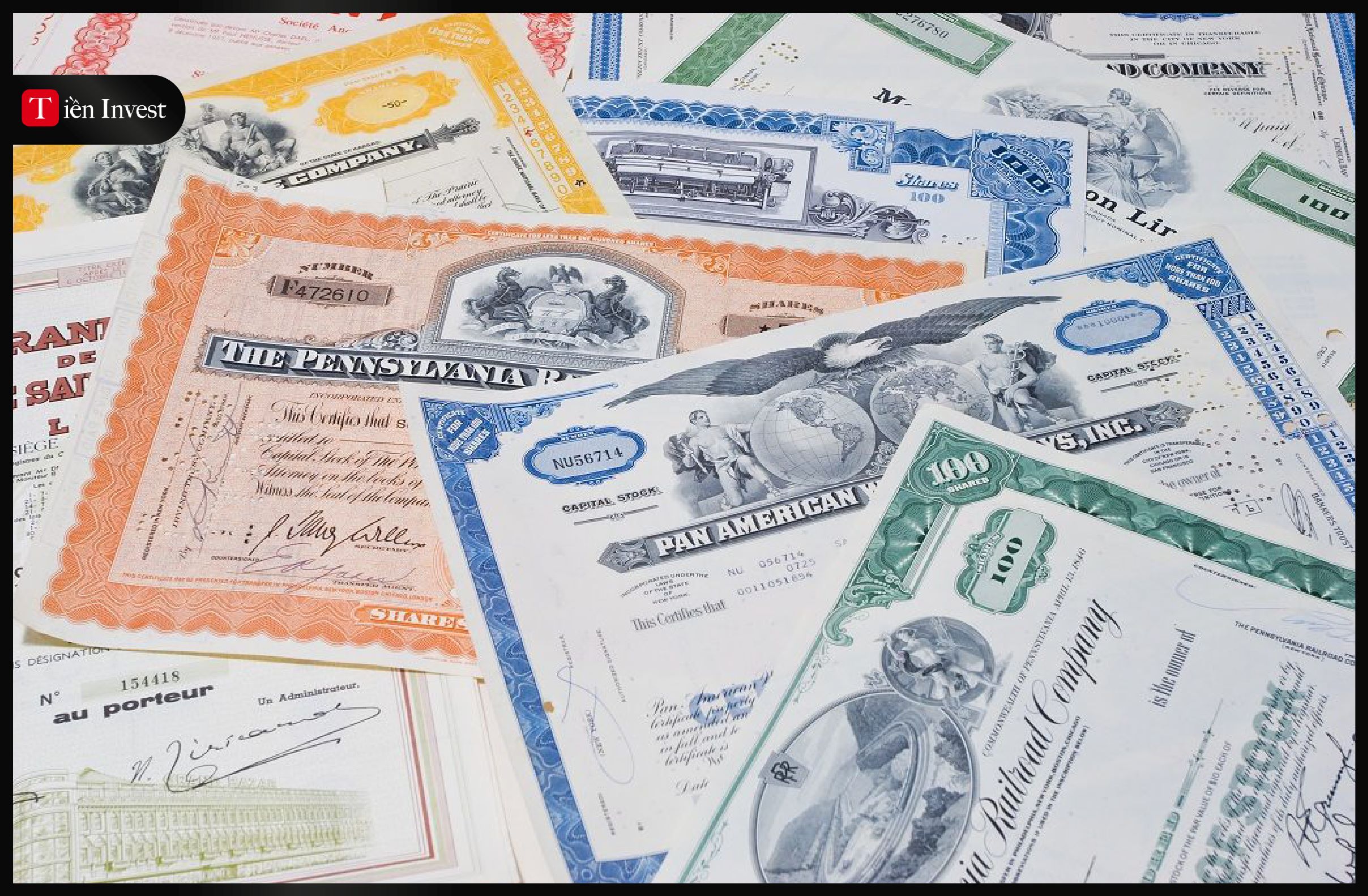 Thương phiếu là gì