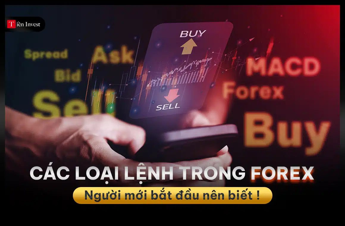 Các loại lệnh trong Forex người mới bắt đầu nên biết